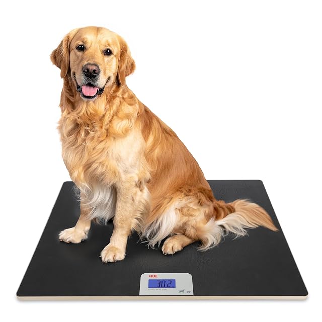 Báscula digital ADE XL de plataforma para perros grandes
