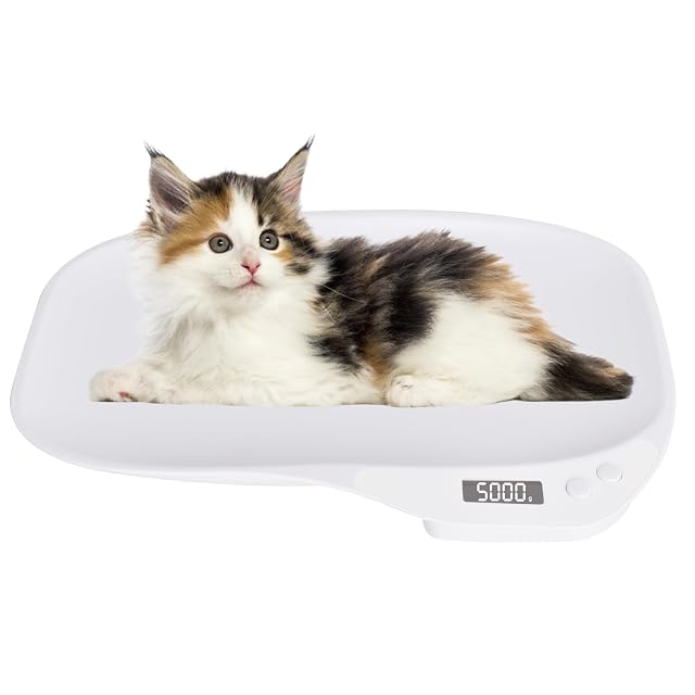 Báscula digital Colexy para animales pequeños