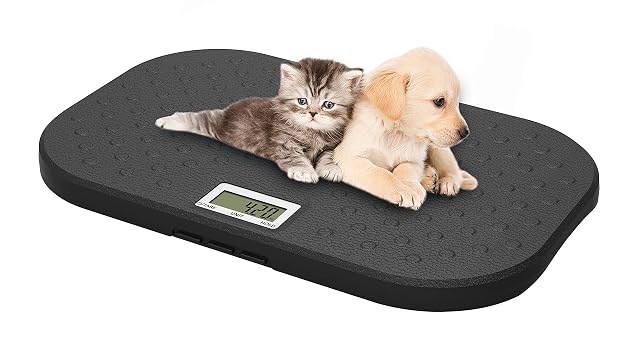 Báscula veterinaria digital i-pouch EB527 para mascotas