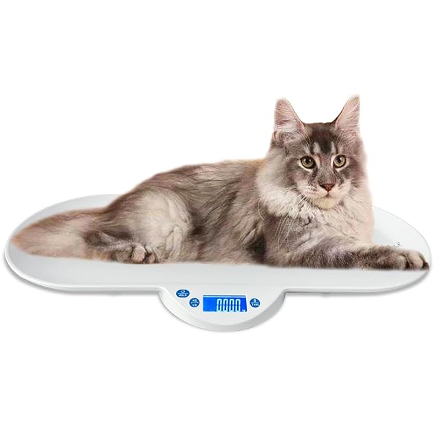 Báscula digital MINDPET-MED para mascotas con bandeja